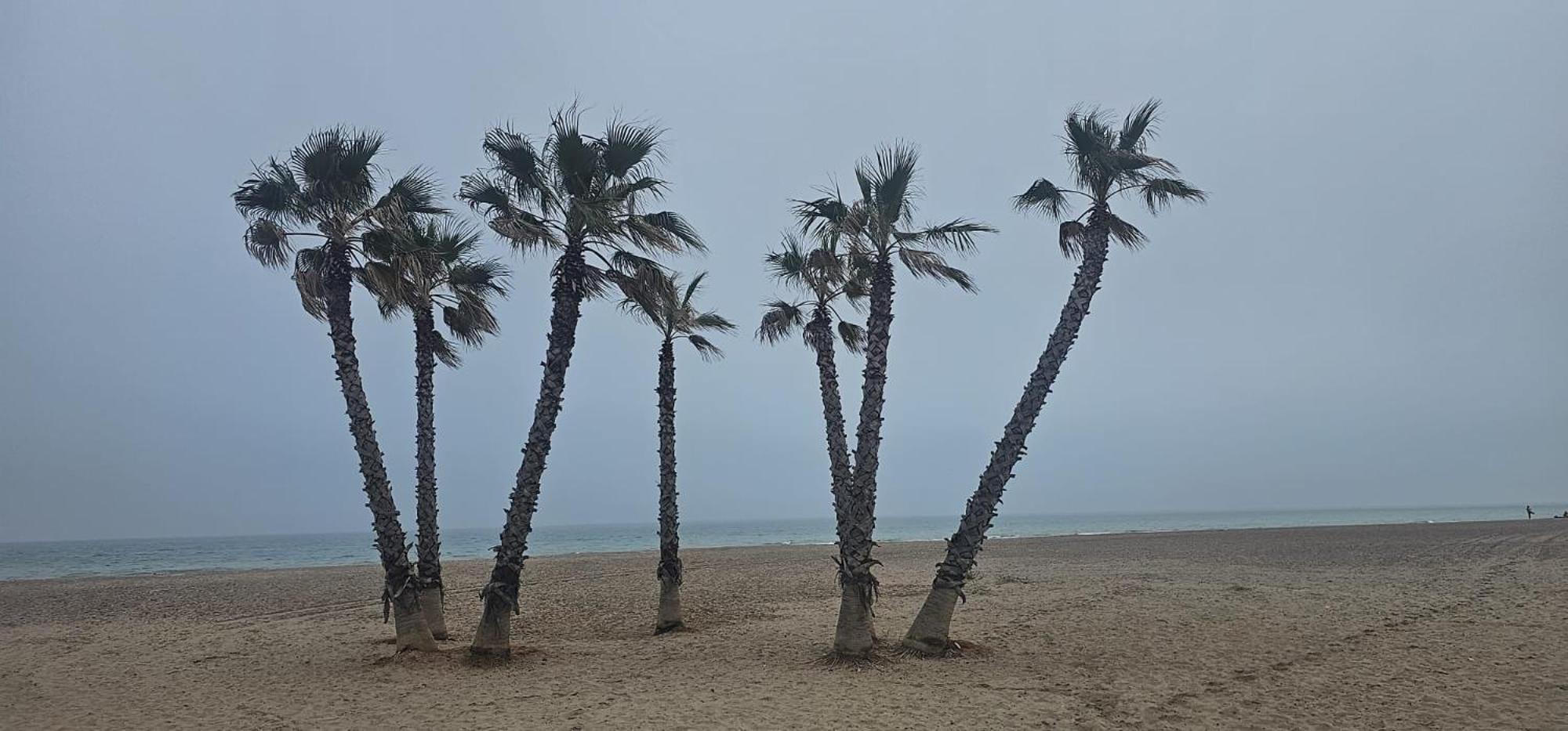 Apartamento Con Piscina Y Cerca De La Playa Canet d'En Berenguer Exterior foto